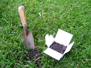 trowel and soil sample container