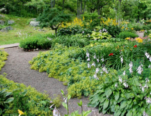 Cover photo for Landscape Conference