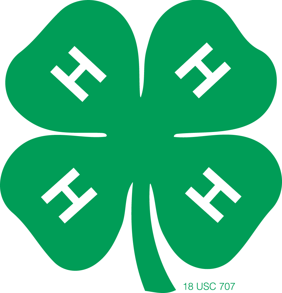 4-H Clover