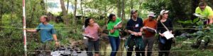 Cover photo for Stormwater SCM Inspection & Maintenance Certification & Re-Certification