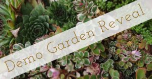 Cover photo for OBX Living Series | Demo Garden Reveal