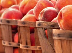 Cover photo for OBX Living Series|Peach Butter Class