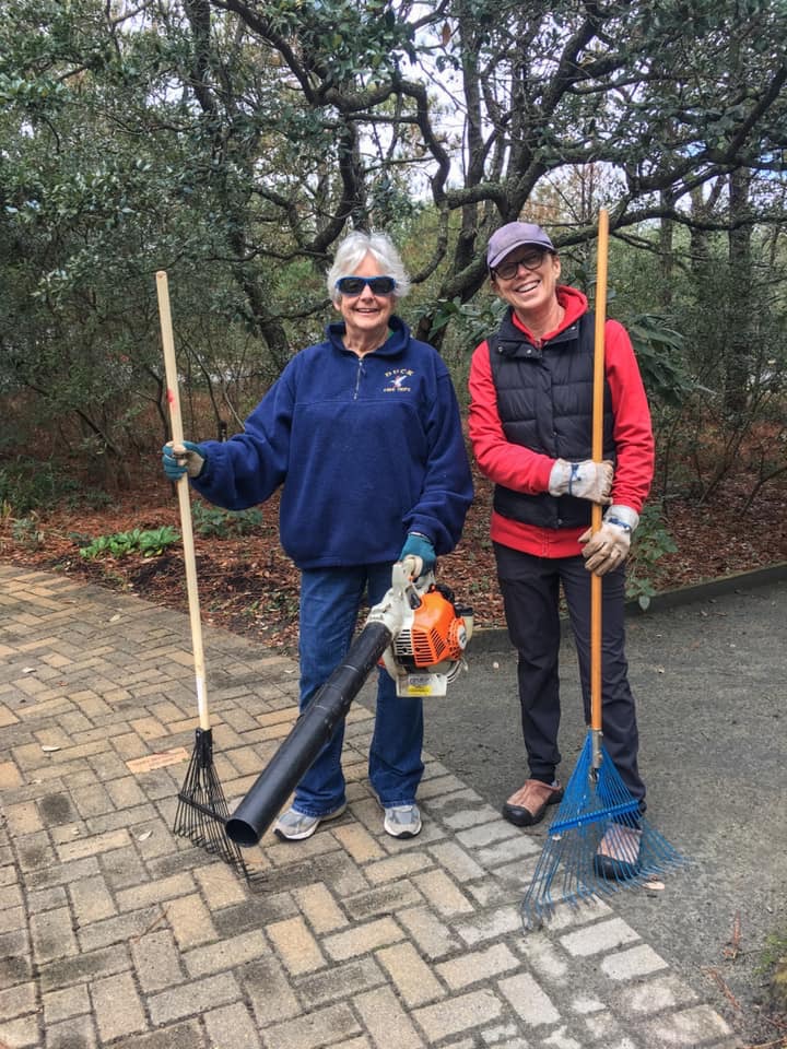 volunteers with rakes