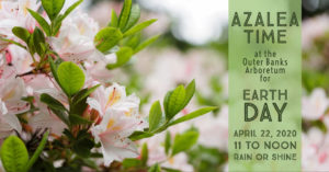 Cover photo for Azalea Time in the Arboretum for Earth Day- POSTPONED