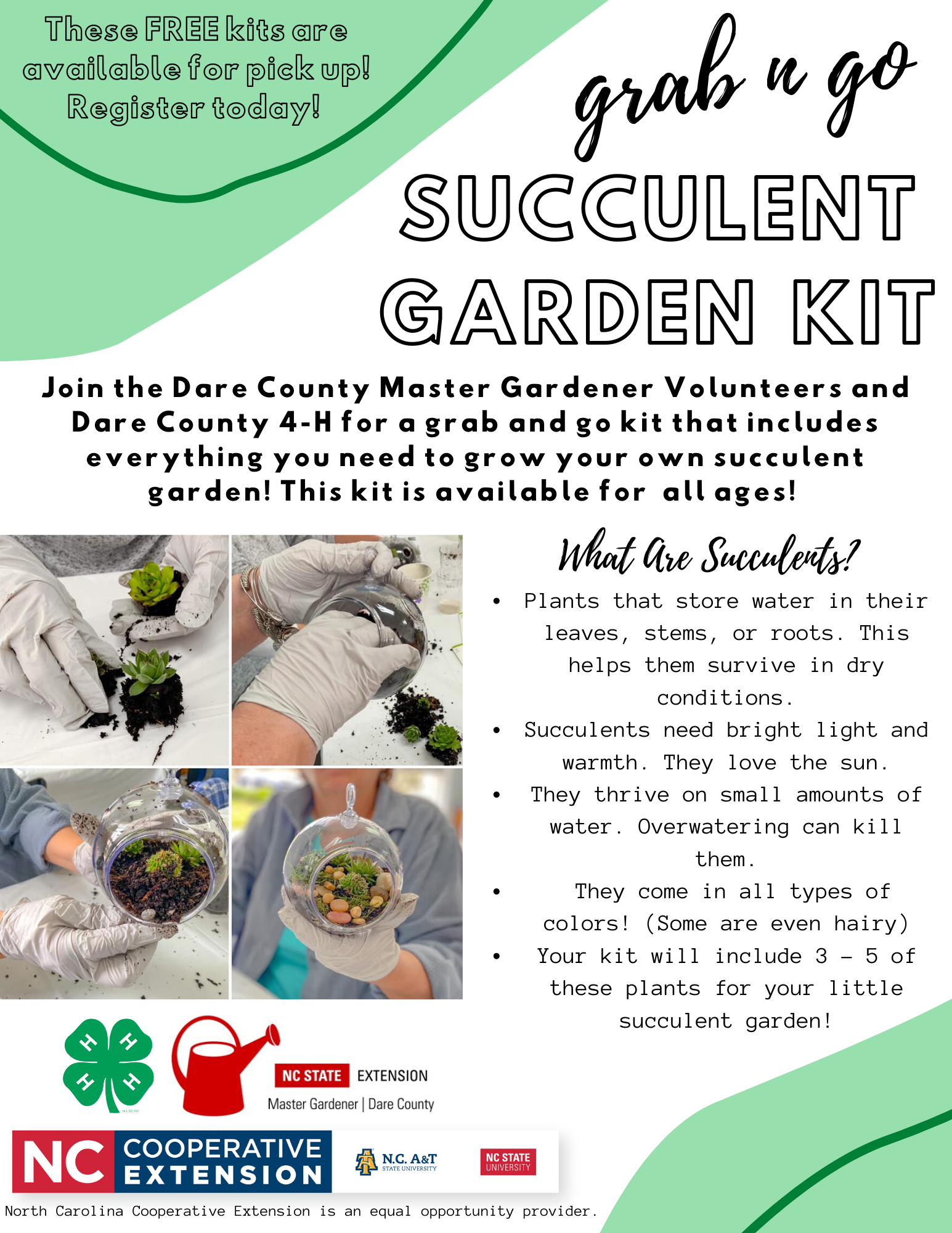 Succulent Garden Kit
