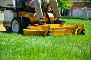 Cover photo for Calling All Dare County Landscape Professionals!