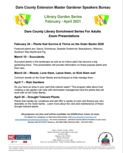 Cover photo for Library Garden Series Goes Virtual!