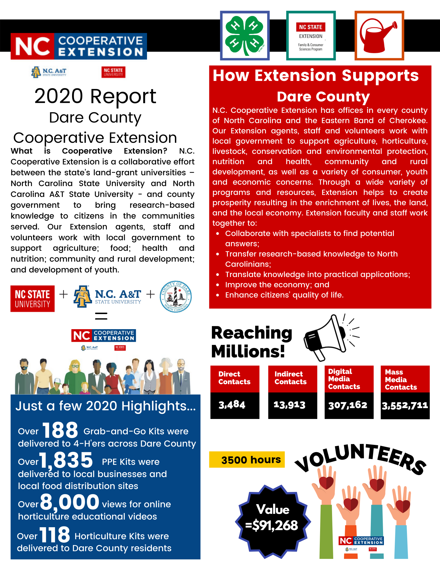 2020 Dare County Report flyer image