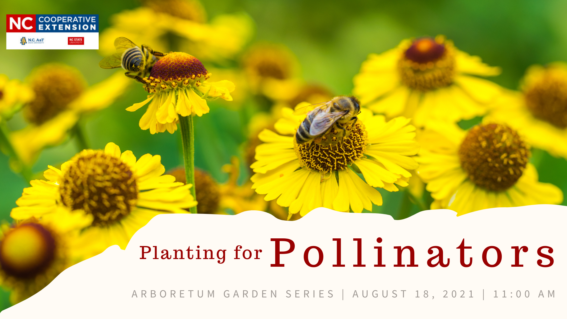 planting for pollinators 