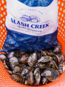 Cover photo for Slash Creek Oyster Farm