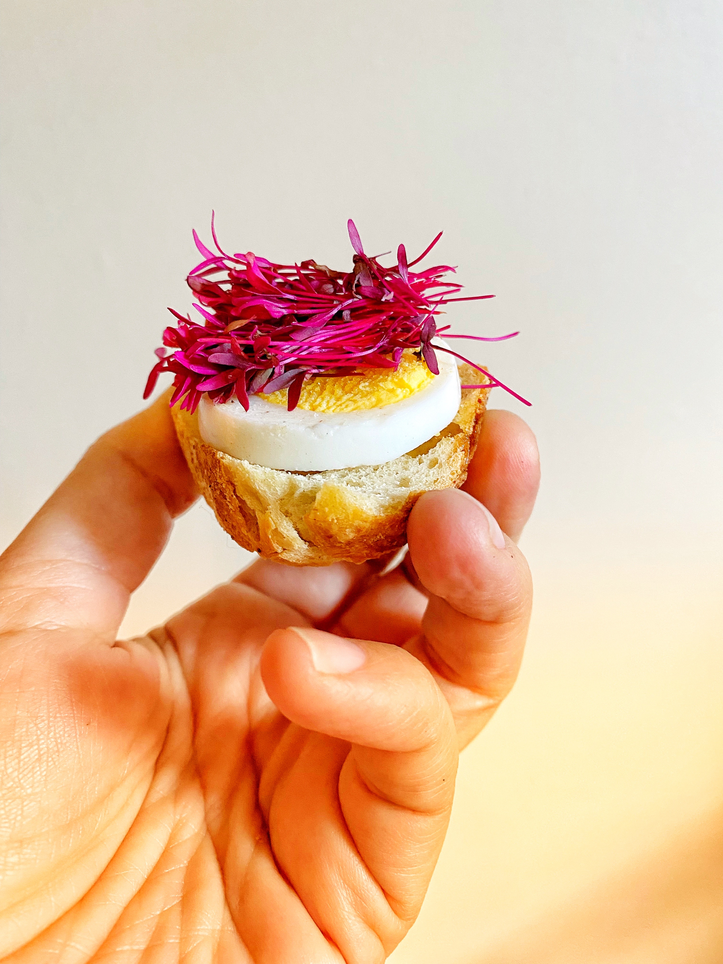 hand holding bread with egg and microgreens