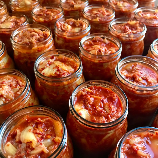 Jars of fermenting cabbage in a red sauce.