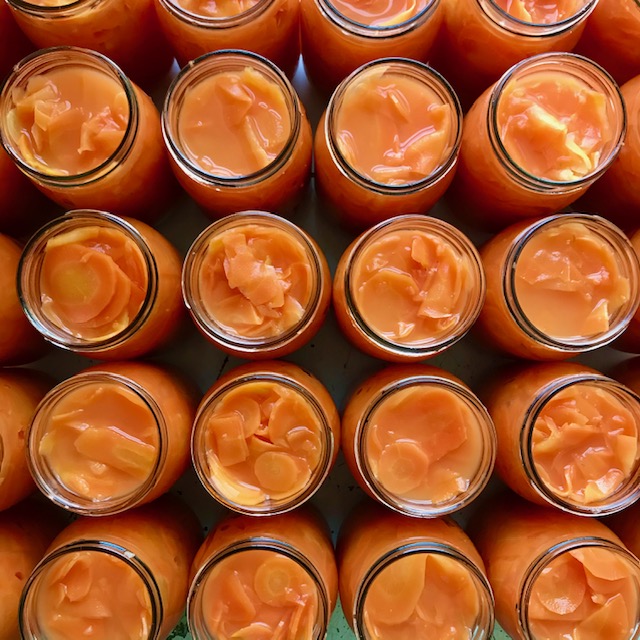 Carrots in liquid in jars.
