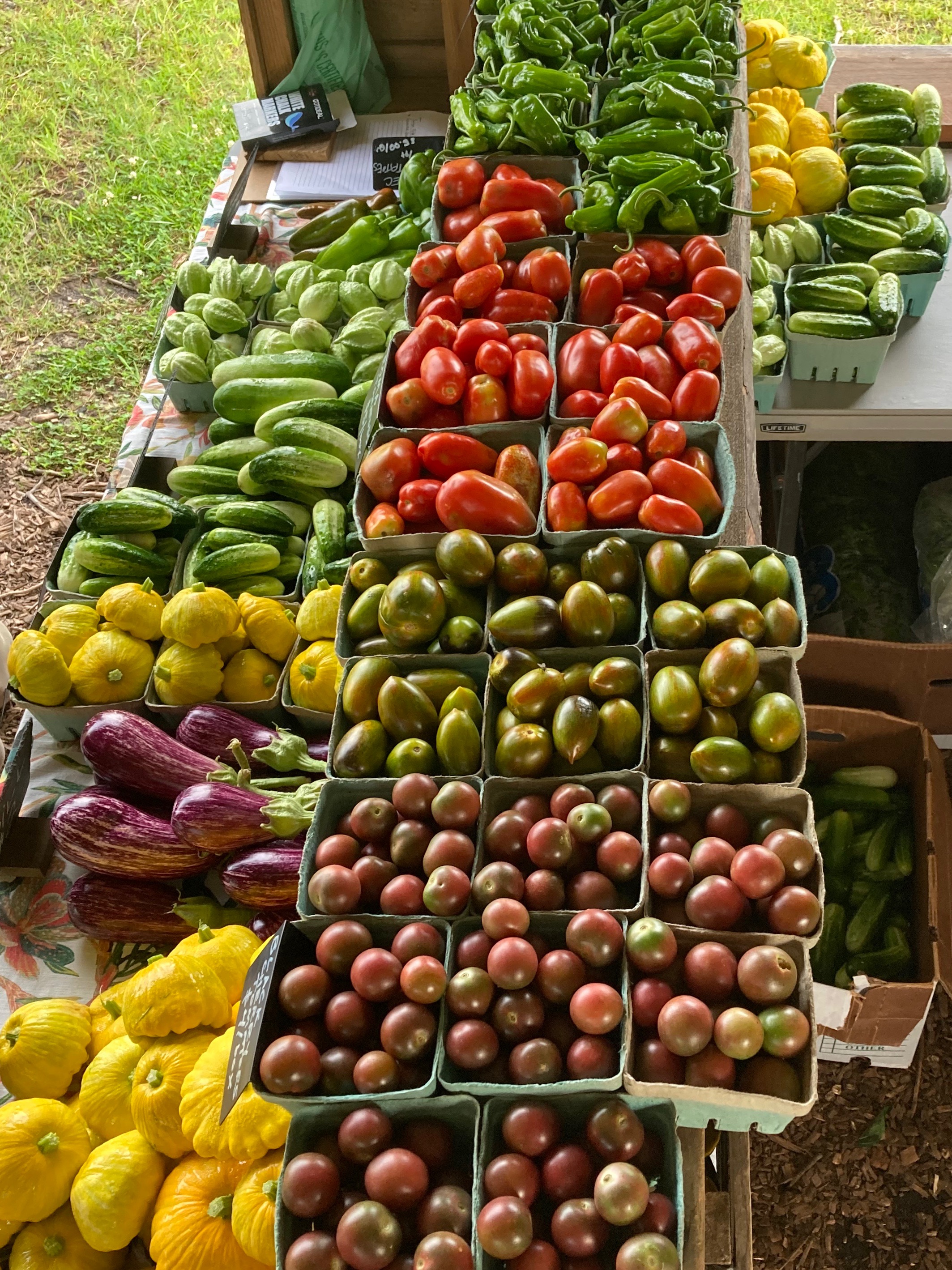 A farmers market stall with containers of tomatoes. 