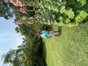 Man standing beside flowering roses.