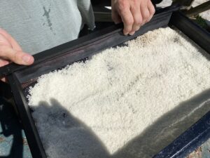sifting salt to remove impurities