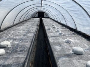 piles of salt inside hoop house