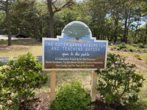 Outerbanks Arboretum and Teaching Garden